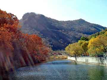 管家婆黑白马报图库，银浆价格